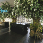 agency (5) 2